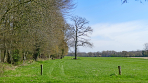neer