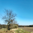 lehrde